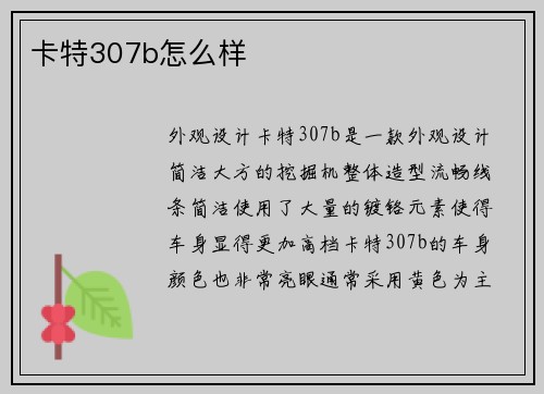卡特307b怎么样